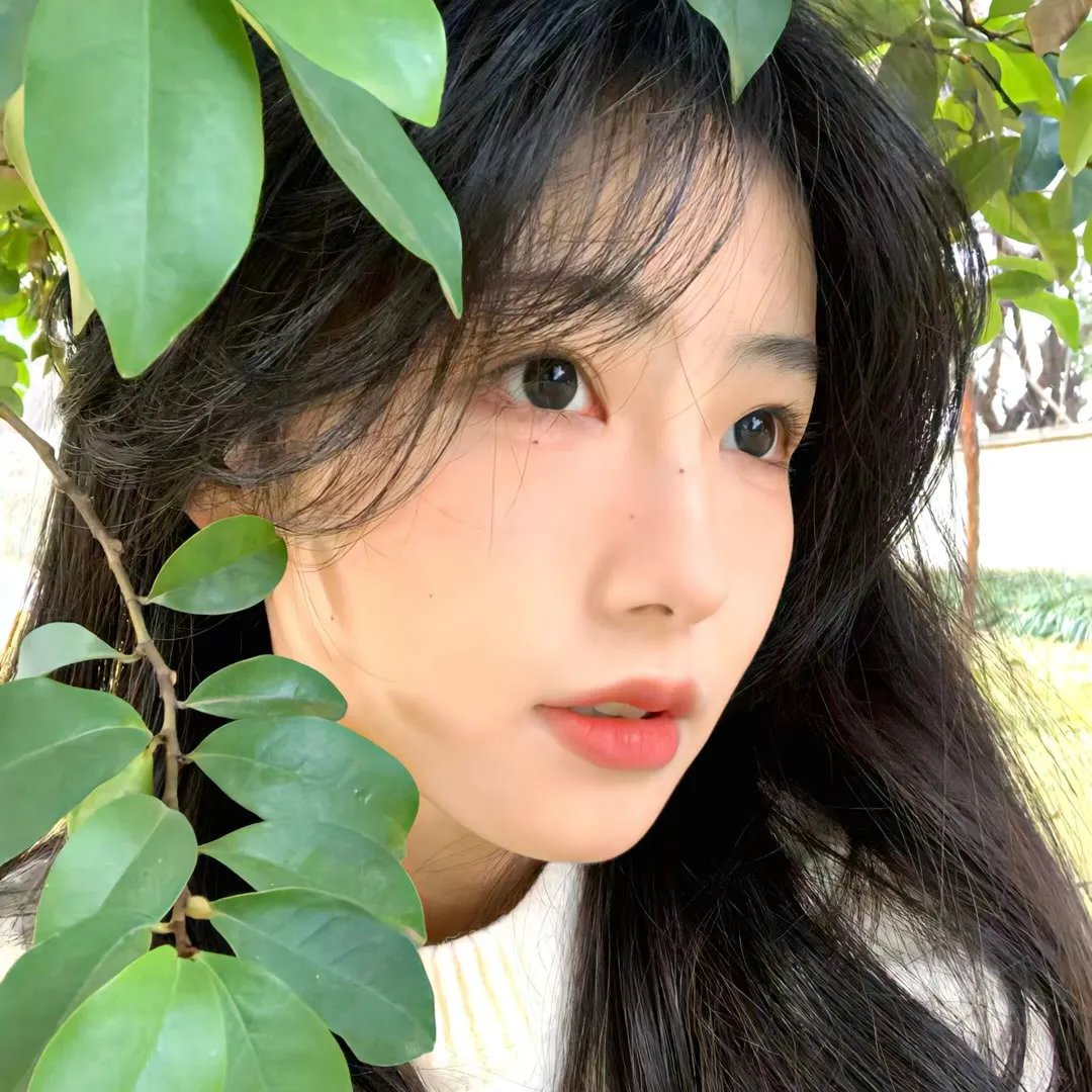 坎坎舞