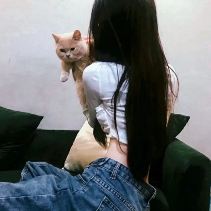 蜜蜂的秘密生活